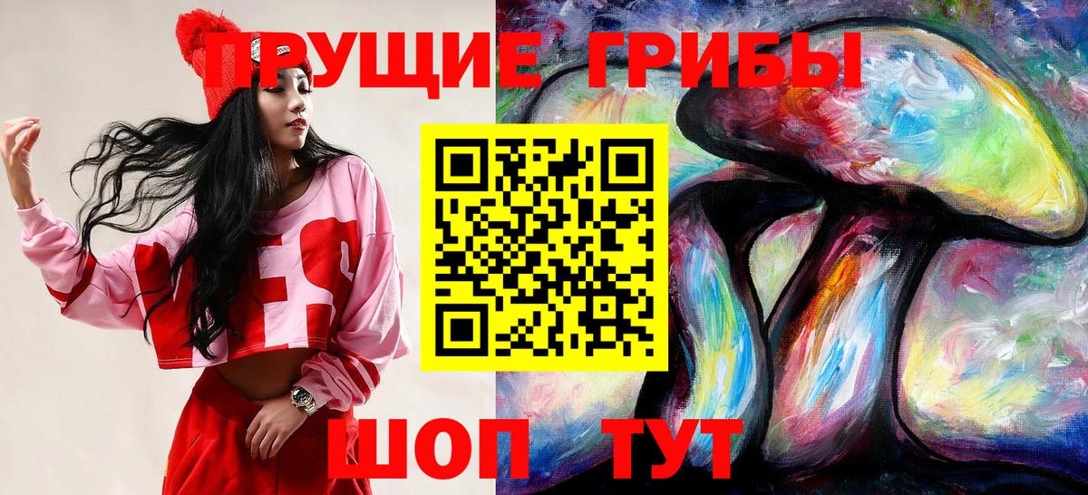 Псилоцибиновые грибы мицелий Шали